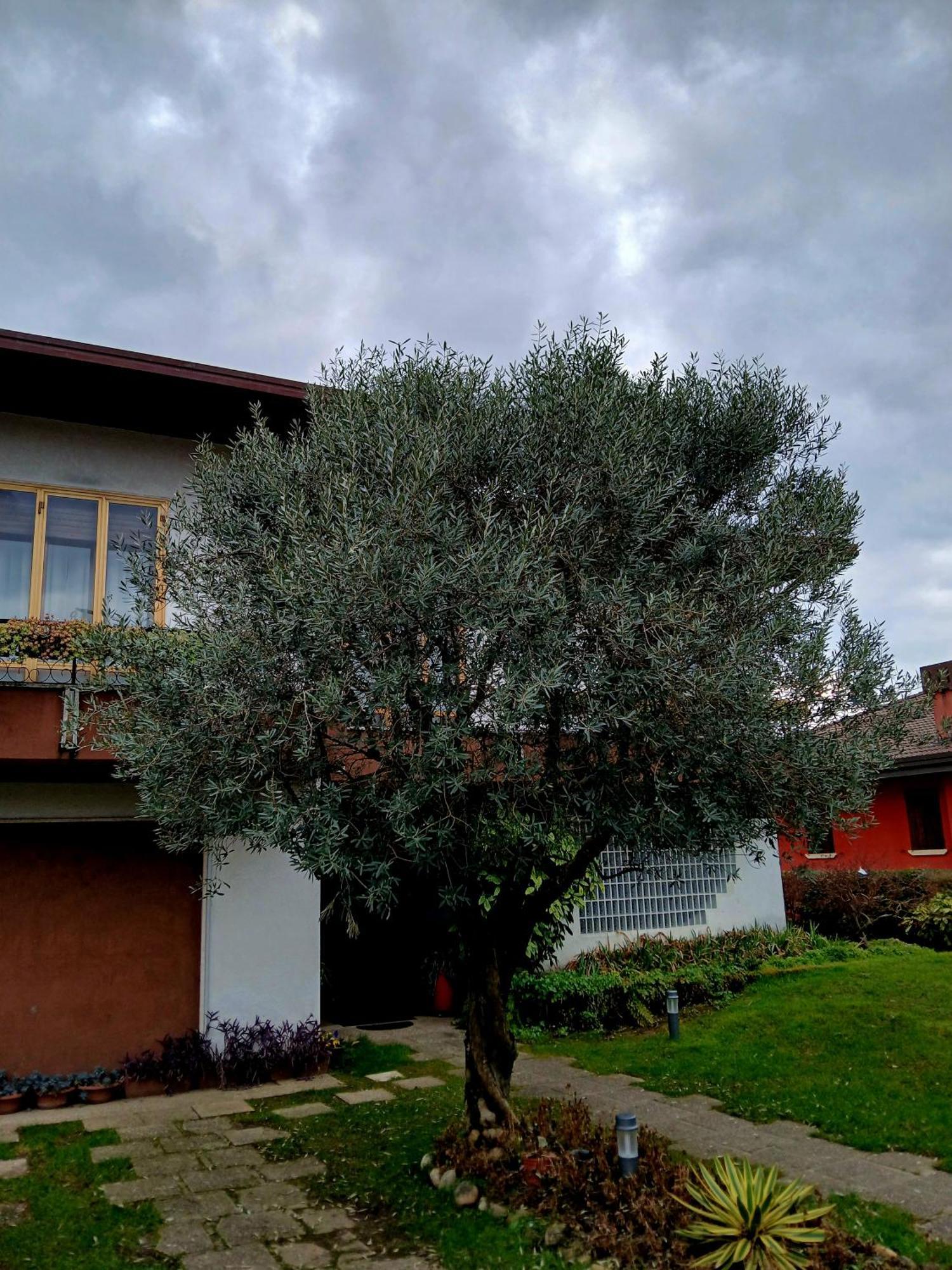 B&B Ponte Marchese Caldogno Exterior photo