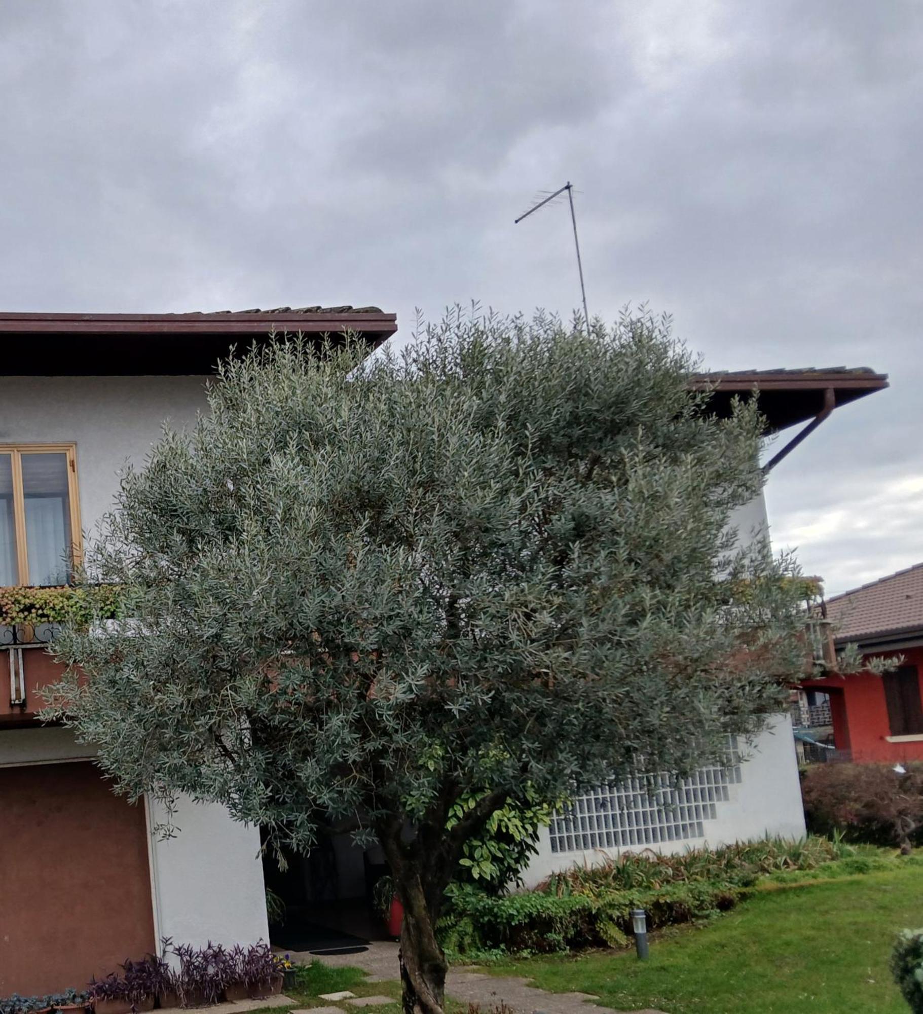 B&B Ponte Marchese Caldogno Exterior photo
